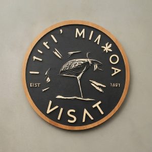 viasat minooka