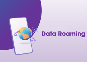 how much does data roaming cost