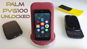 palm pvg100