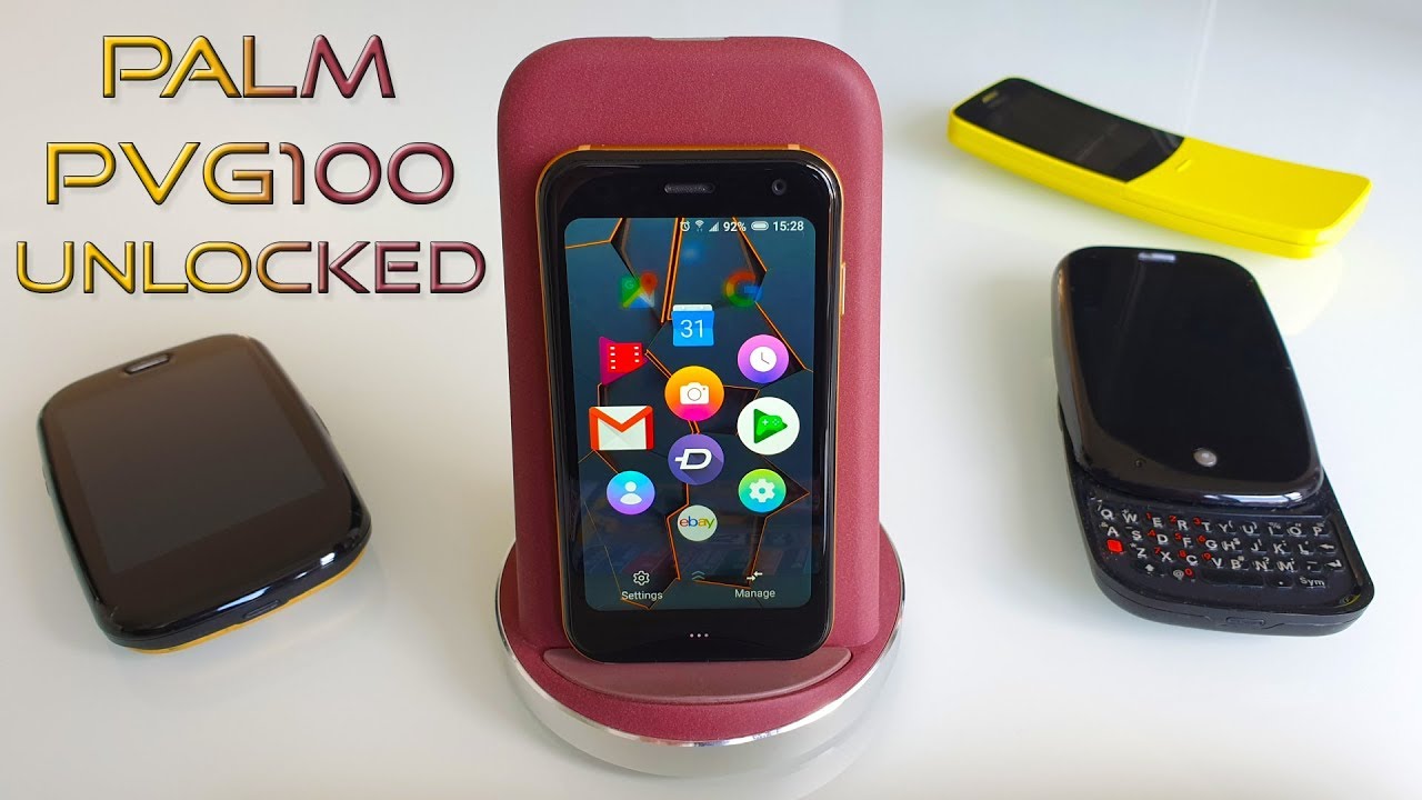 palm pvg100