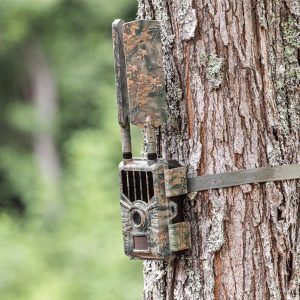 verizon trail camera