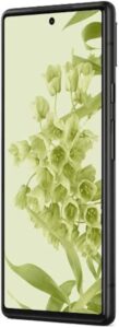 Pixel 6 consumer cellular