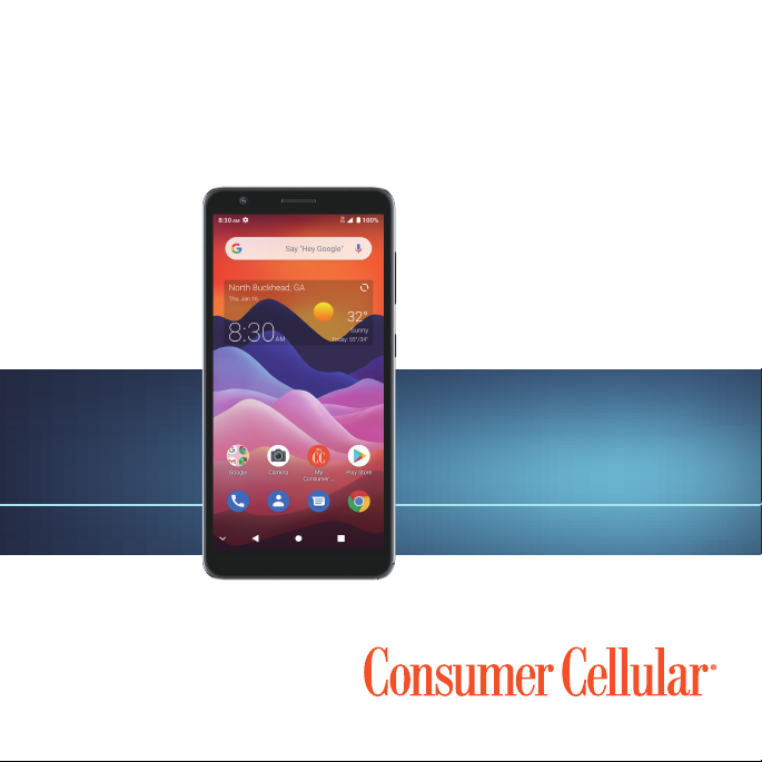 zte avid 579 consumer cellular