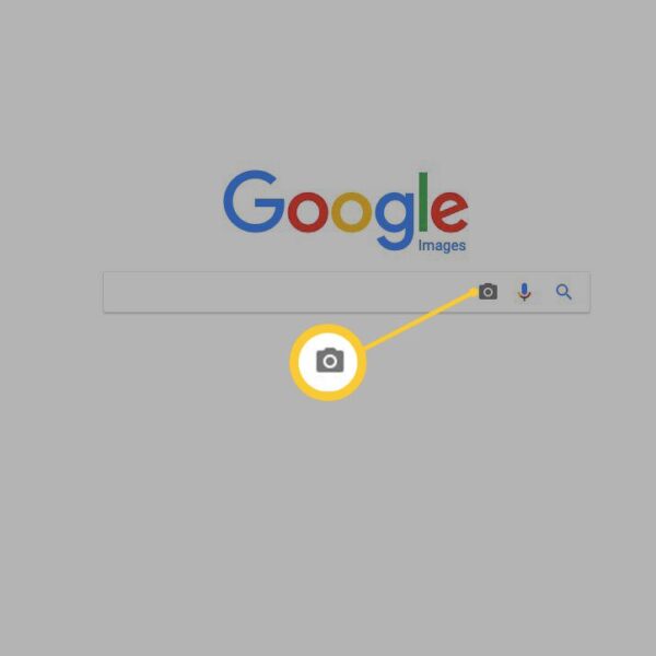 Reverse Image Search