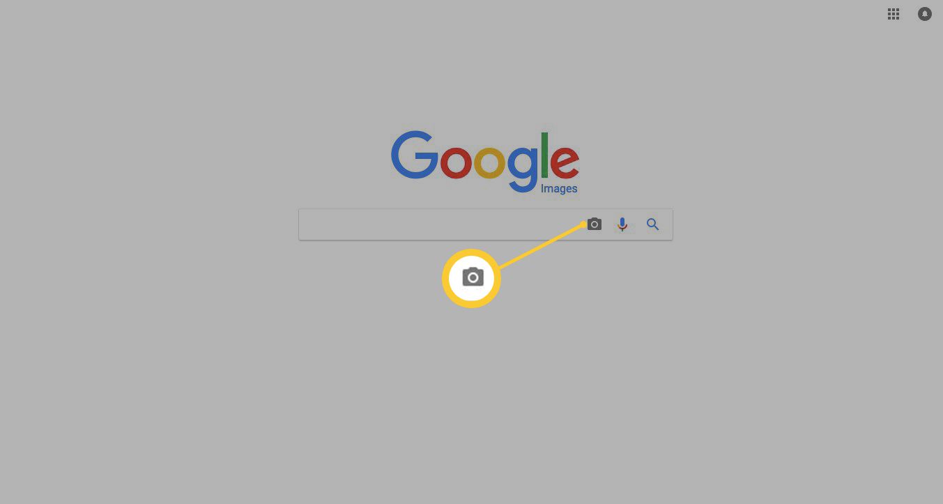 Reverse Image Search